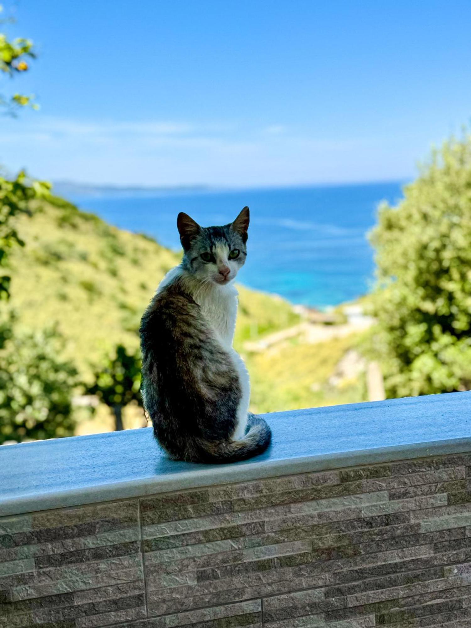 Vila Paza Sarandë Eksteriør bilde
